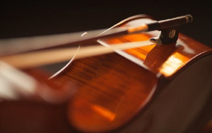 Bury Festival violin